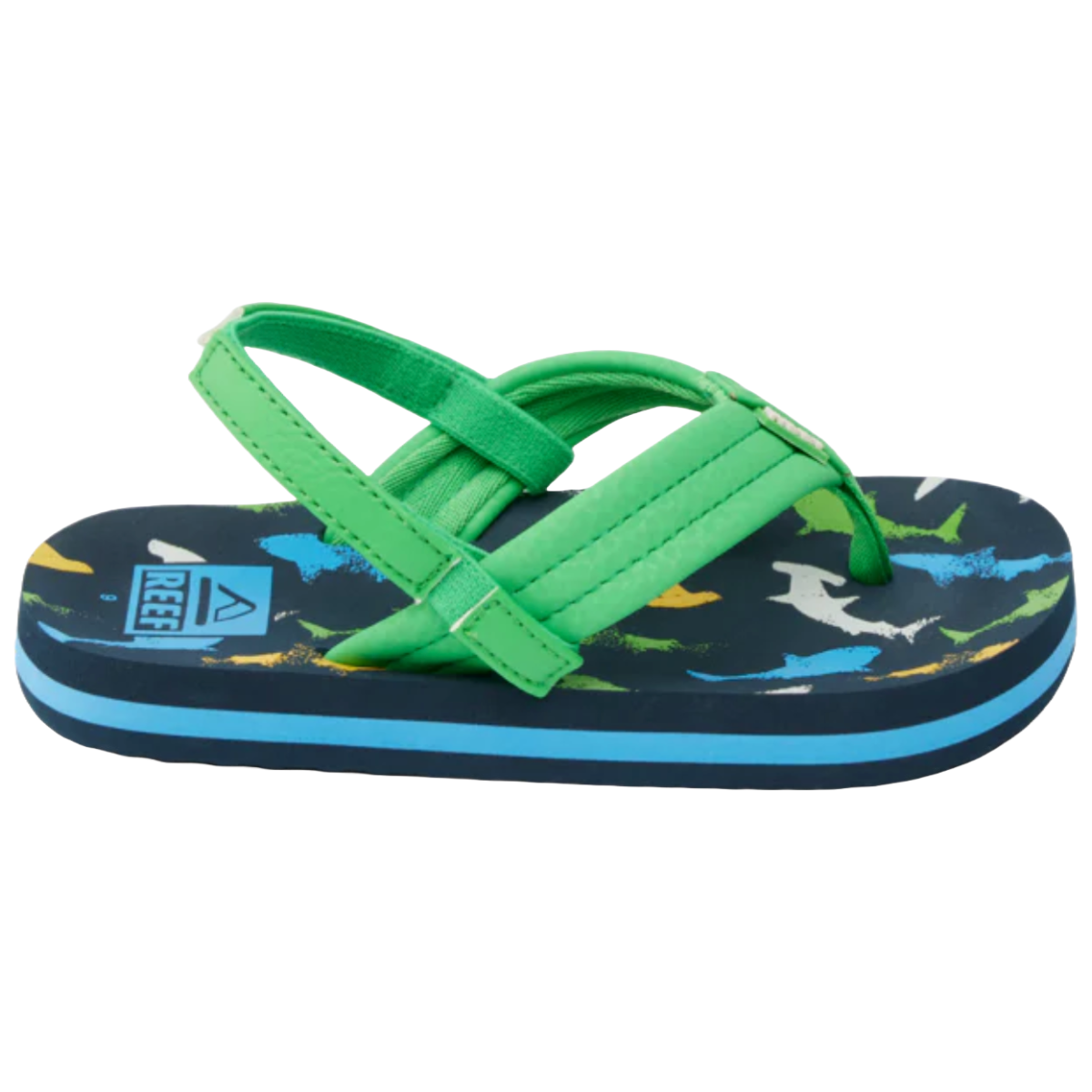 Reef Little Kids Ahi Surfing Dino in Green