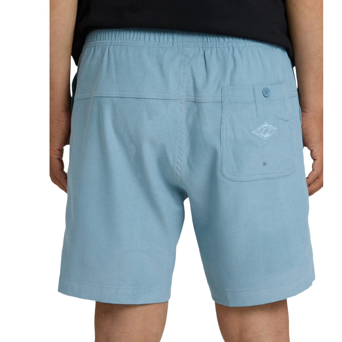 Billabong De La Cruz Submersible Shorts in Blue Fog