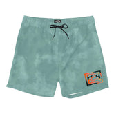 Billabong D Bah Layback 17" Boardshorts in Minty - BoardCo