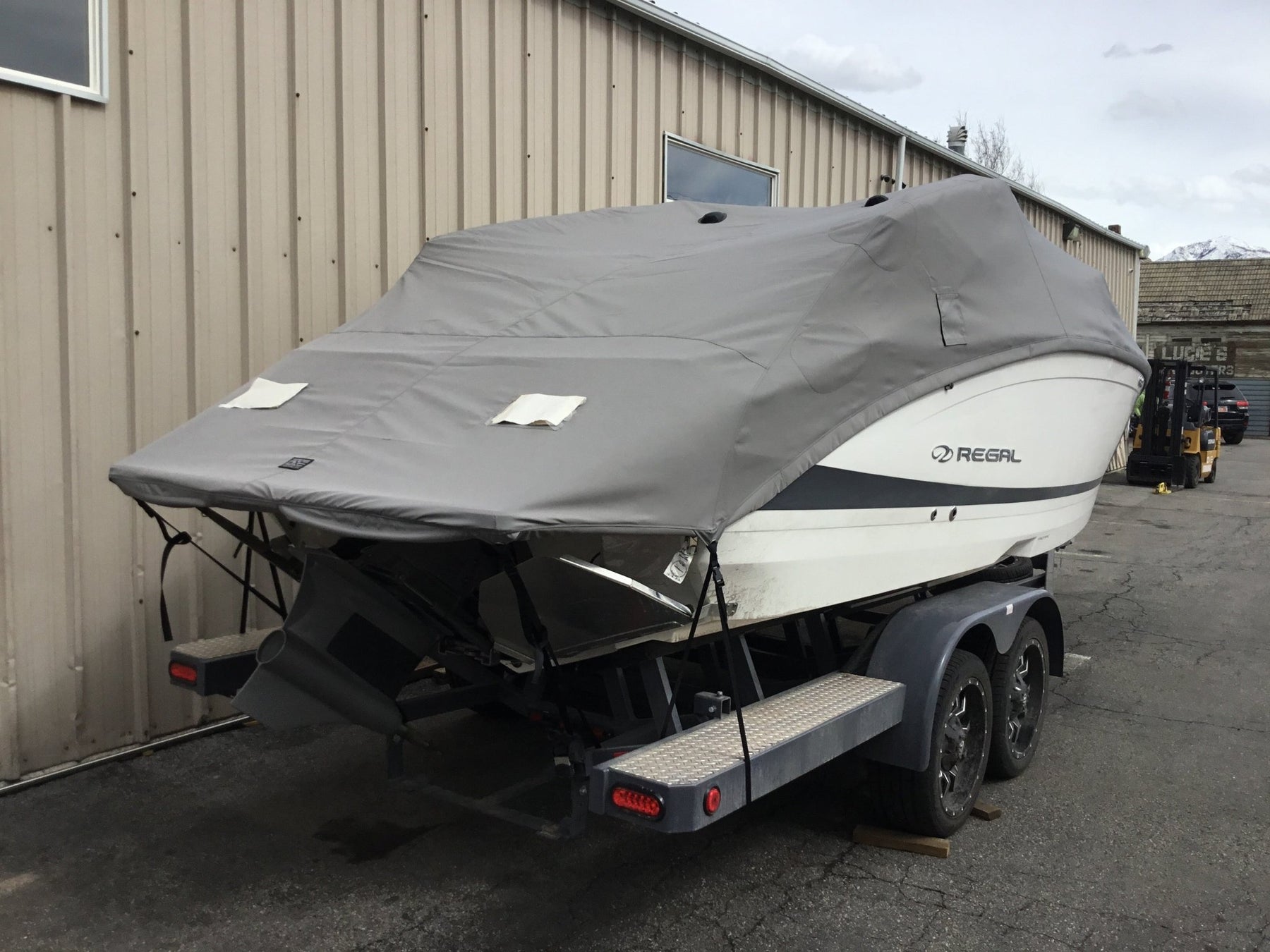 Regal LS6 Power Tower TD Ratchet Cover - BoardCo