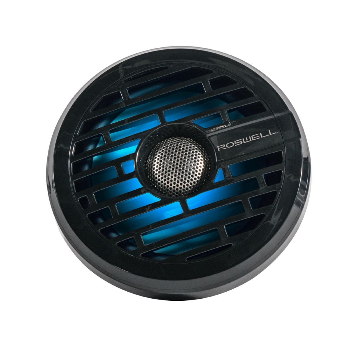 Roswell R1 6.5" In-Boat Speaker (Black) - BoardCo