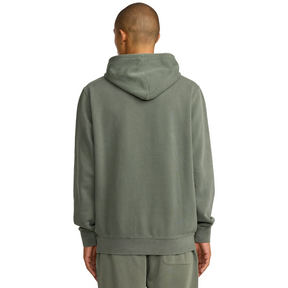 RVCA PTC Hoodie 2 in Sage Leaf