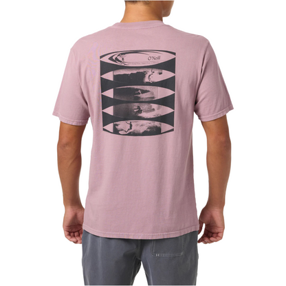 O'Neill OG 60s Ad Relaxed Fit Tee in Toadstool