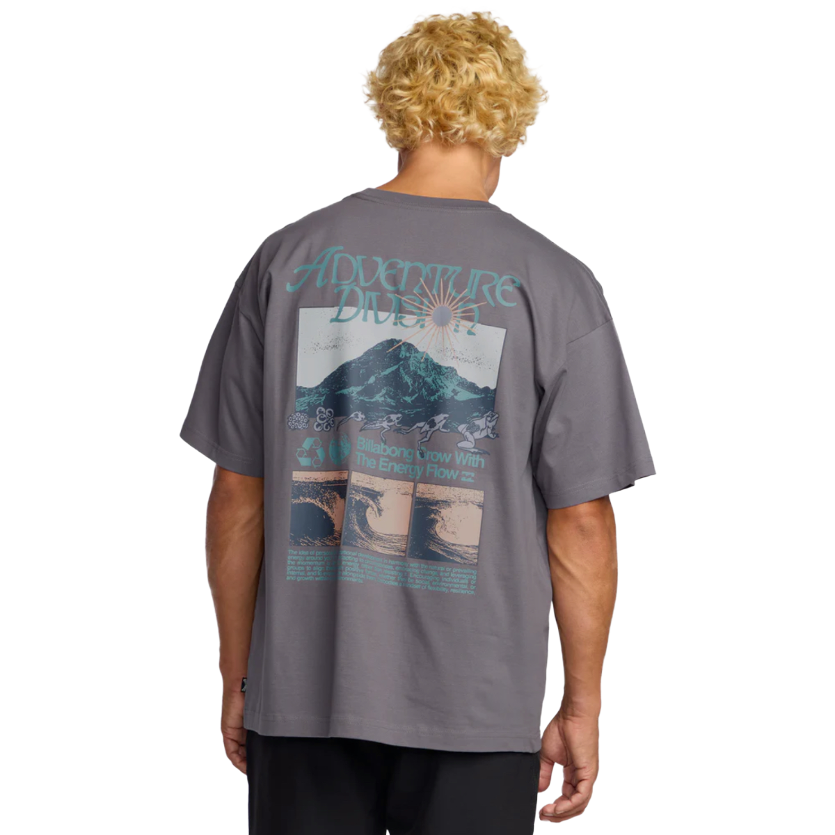 Billabong Grow OG A/Div Short Sleeve Tee in Grey Violet