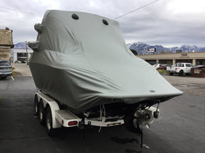 Cobalt 262 Samson Tower Double Up