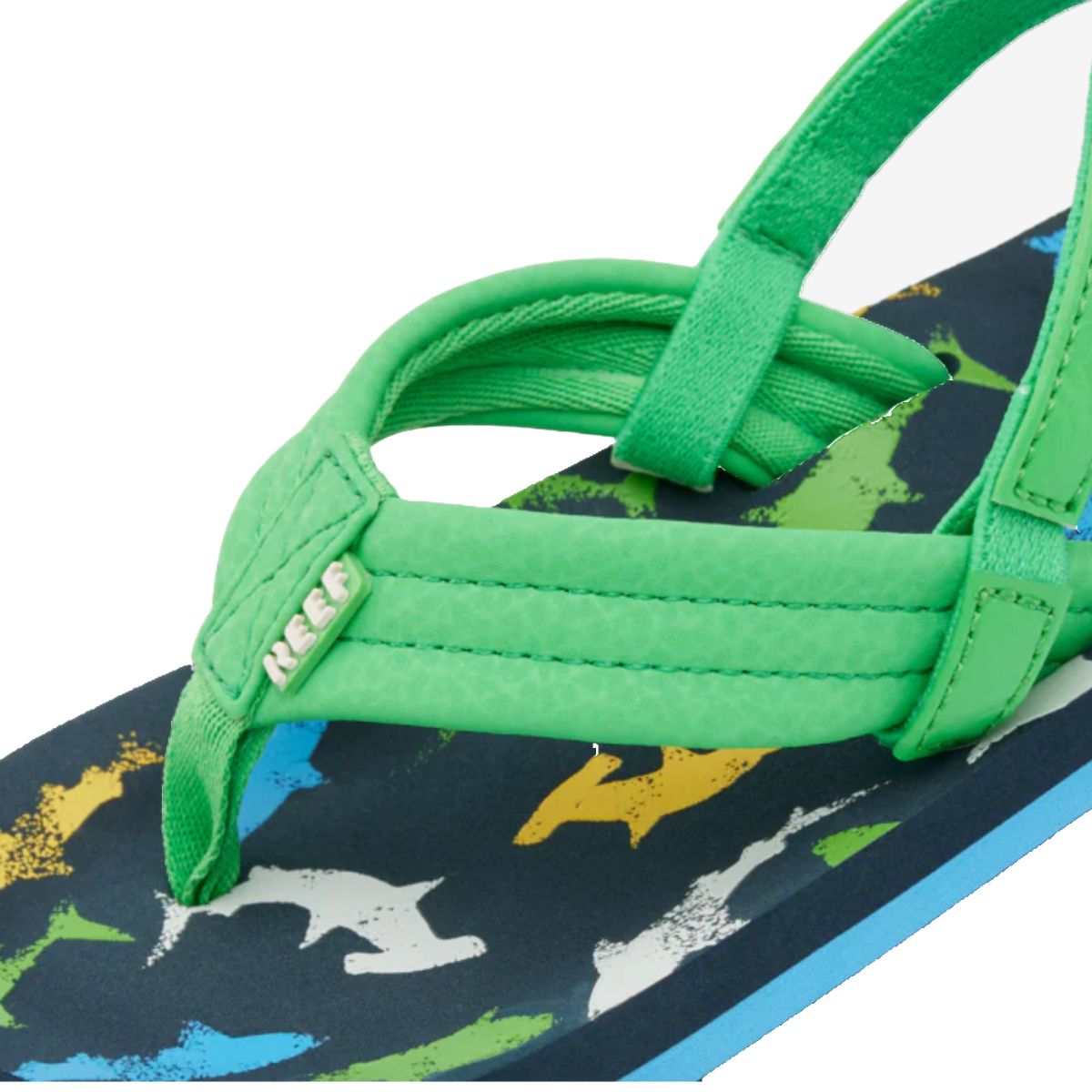 Reef Little Kids Ahi Surfing Dino in Green