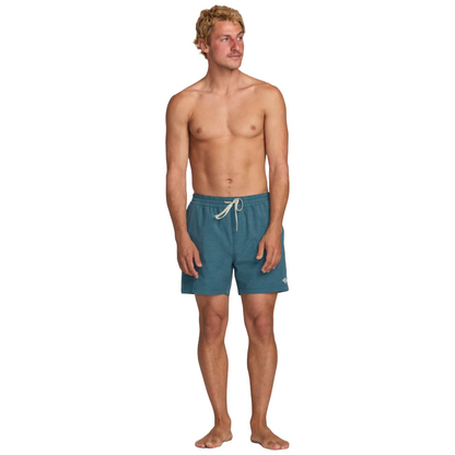Billabong Every Other Day Layback Boardshorts in Marine