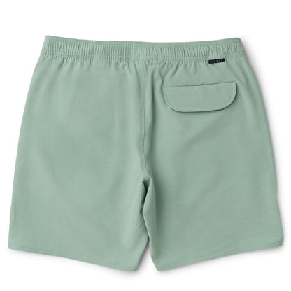 Vissla Solid Sets 17.5" Ecolastic Boardshorts in Aloe