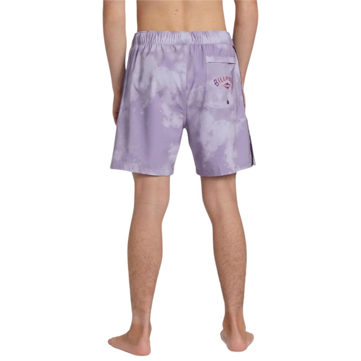 Billabong D Bah Layback Boardshorts in Purple Ash - BoardCo
