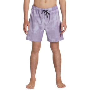 Billabong D Bah Layback Boardshorts in Purple Ash - BoardCo