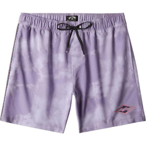 Billabong D Bah Layback Boardshorts in Purple Ash - BoardCo