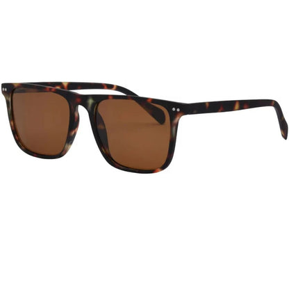 I - Sea Dax Sunglasses in Tort/Brown - BoardCo