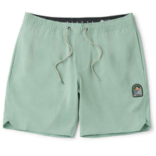 Vissla Solid Sets 17.5" Ecolastic Boardshorts in Aloe - BoardCo