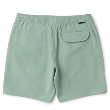 Vissla Solid Sets 17.5" Ecolastic Boardshorts in Aloe - BoardCo