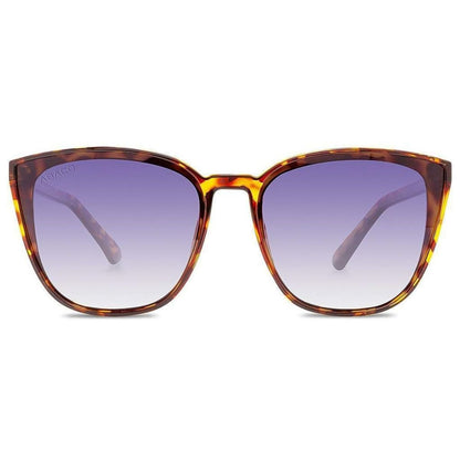 Abaco Chelsea Sunglasses in Tortoise/Blue Gradient - BoardCo