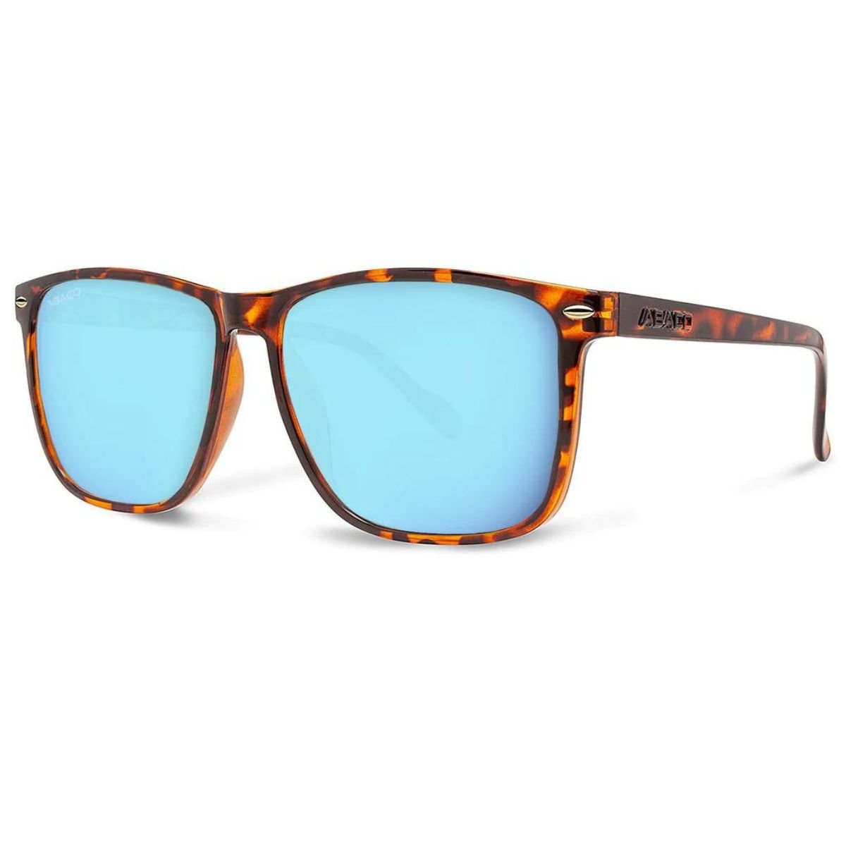 Abaco Jesse Sunglasses in Tortoise/Caribbean Blue - BoardCo
