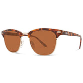 Abaco Montana Sunglasses in Tortoise/Brown - BoardCo
