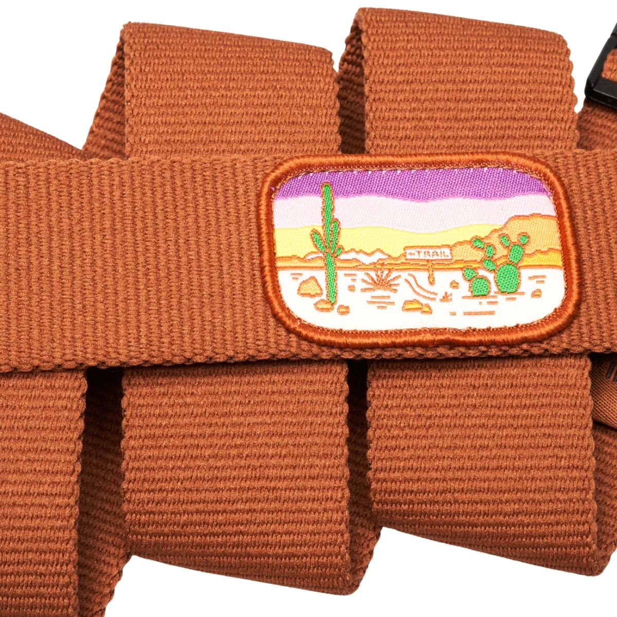 Arcade Earthling Belt in Bay - BoardCo