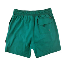 Island Haze Lavana Men's Boardshort in Green - BoardCo