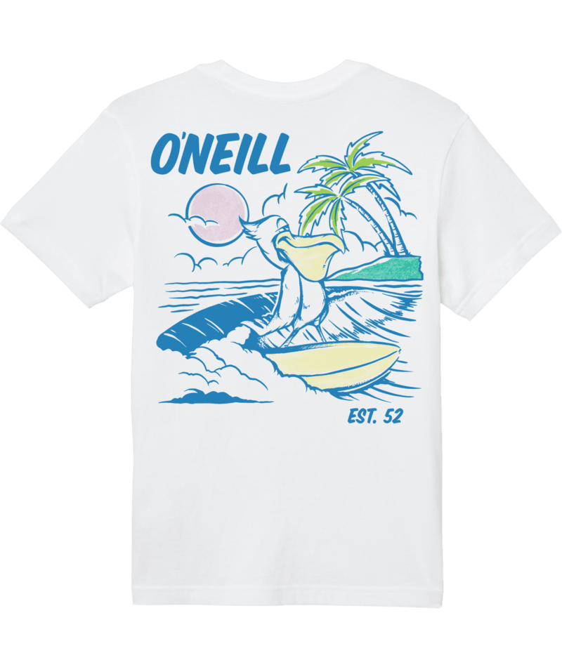 O'Neill Boys Low-Key Tee in White - BoardCo