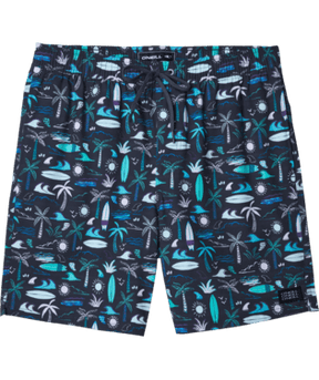 O'Neill Mashup Volley Boardshort in Graphite - BoardCo