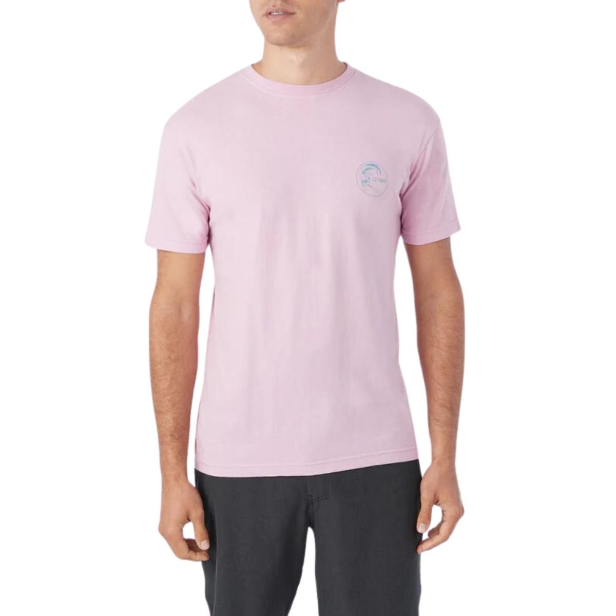 O'Neill OG Cleanlines Tee in Plum - BoardCo