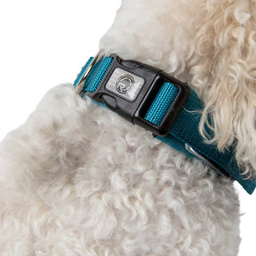 Radar Dog Collar in Blue - BoardCo