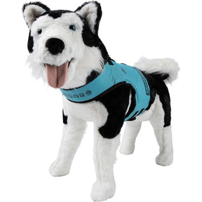 Radar Dog Vest in Blue - BoardCo