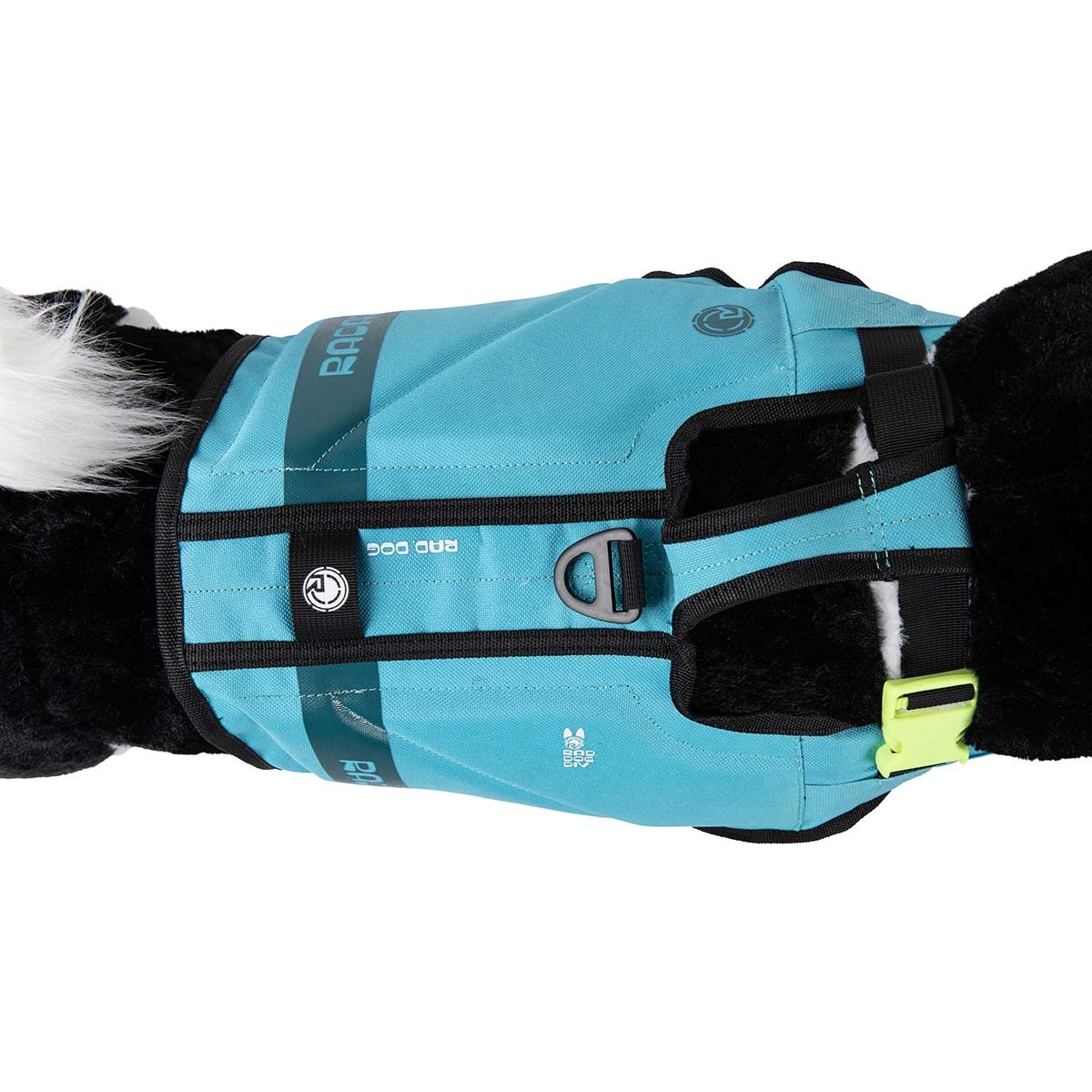 Radar Dog Vest in Blue - BoardCo