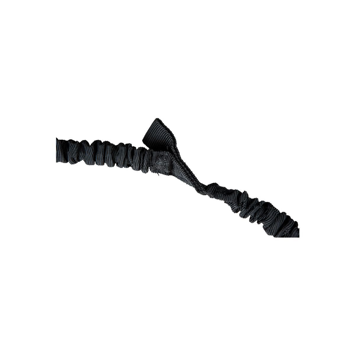 Jobe Bungee Extension 4p kopen? Ruim assortiment ← JP Watersport Jobe Bungee Extension 4p kopen? Ruim assortiment ← JP Watersport