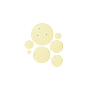 Sun Bum SPF 30 Sunscreen Oil - BoardCo